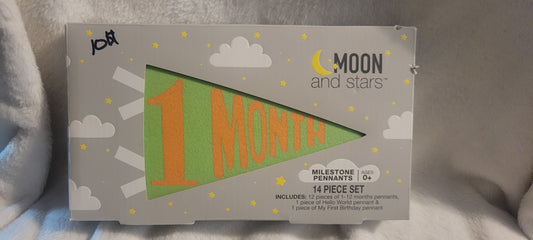 Milestone Pennants 1-12 mths - size 0